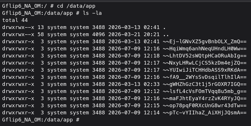 directory listing of /data/app
